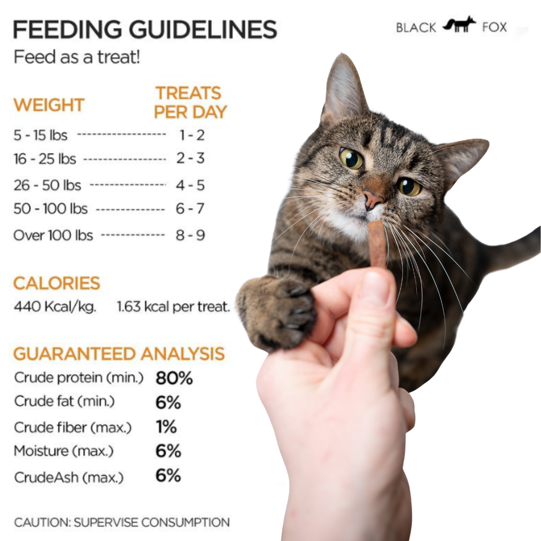 🍗 “Protein Bribes” – Single-Ingredient Chicken Cubes for Picky Eaters