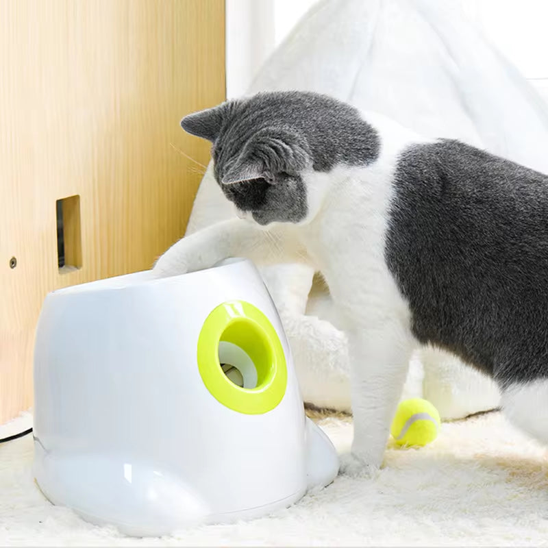 🎾 "Chaos Canon 9000" – Automatic Ball Launcher for Cats/Dogs (3 Distances: 3ft/6ft/9ft)